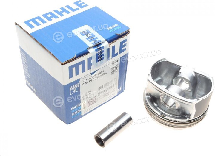 Mahle 028PI00120000