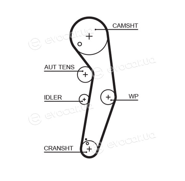 Gates K065569XS