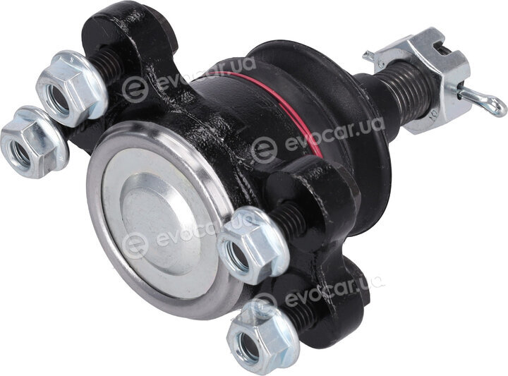 Blue Print ADZ98605