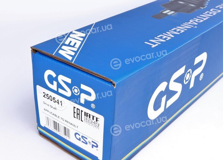 GSP 250541