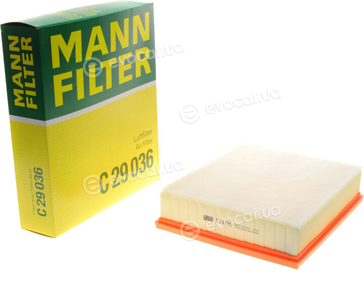 Mann C 29 036