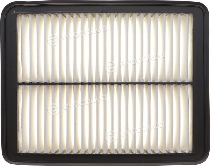 Solgy 103175