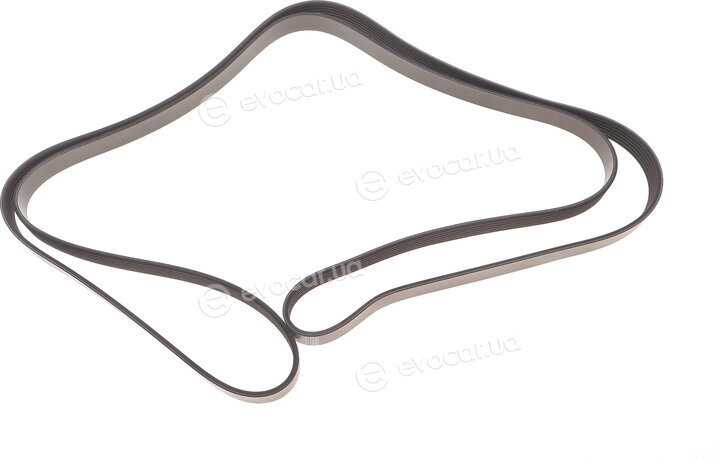 Dayco 6PK2504
