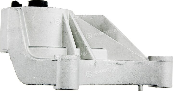 NTY ZPS-PL-007
