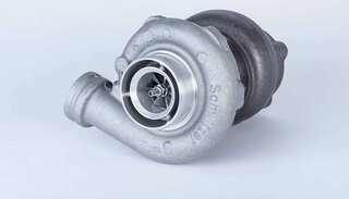 BorgWarner 319278