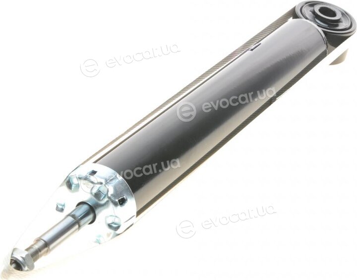 AIC 55281
