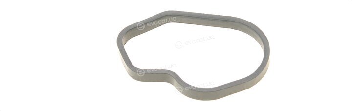 Elring 006.600