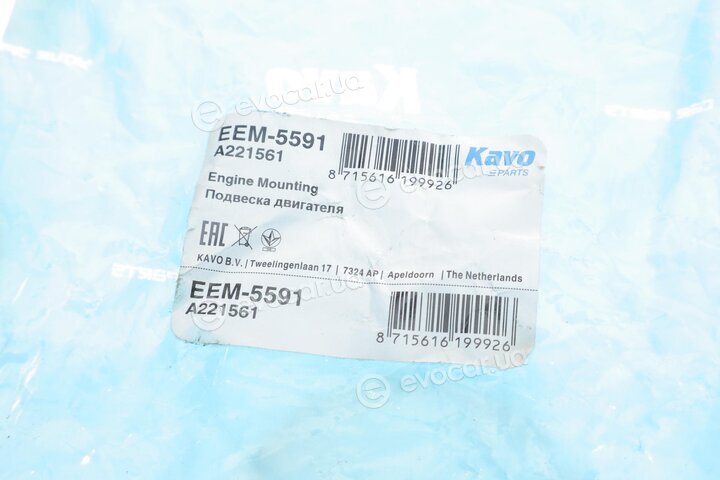 Kavo EEM-5591