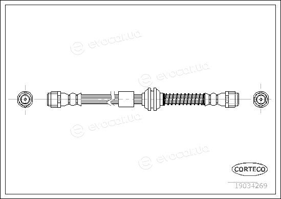 Corteco 19034269