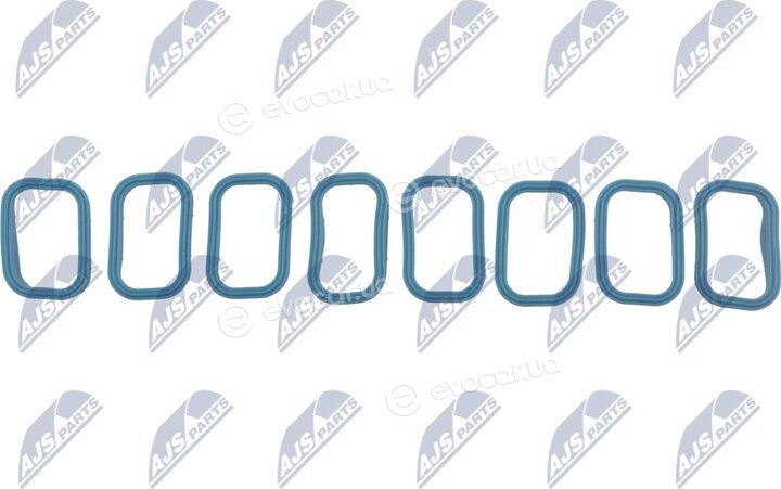 NTY BKS-FR-010