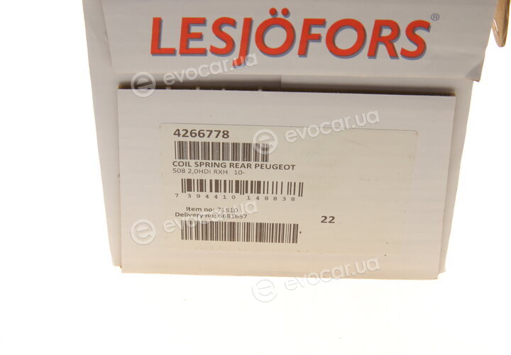 Lesjofors 4266778