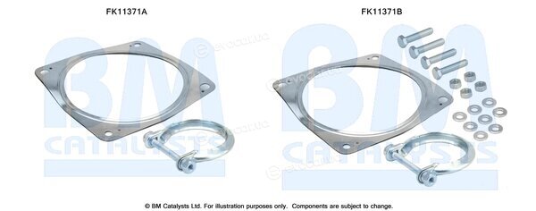 BM Catalysts FK11371