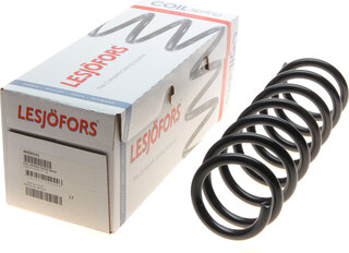 Lesjofors 4008541