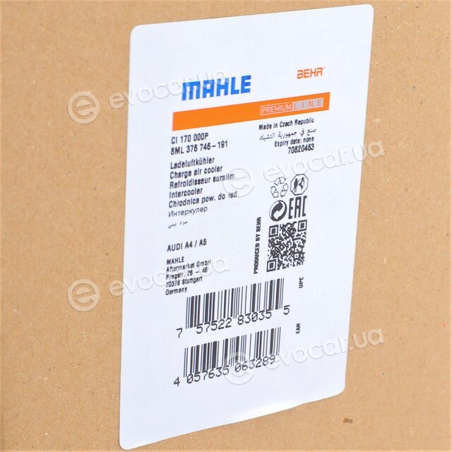 Mahle CI 170 000P