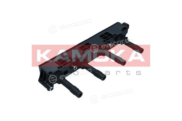 Kamoka 7120017