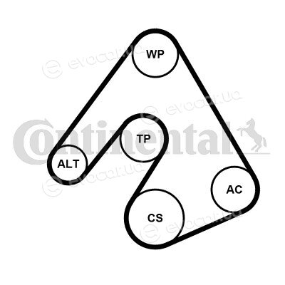 Continental 5PK1207WP1