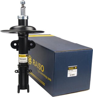 Raiso RS310202