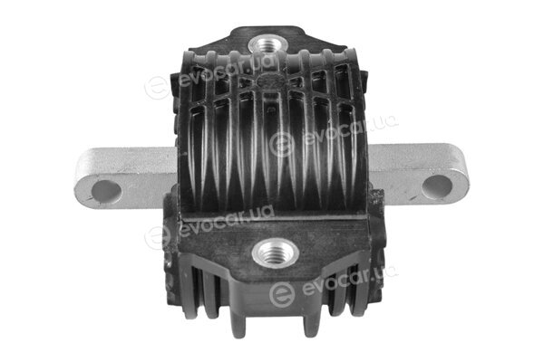 Tedgum TED56933