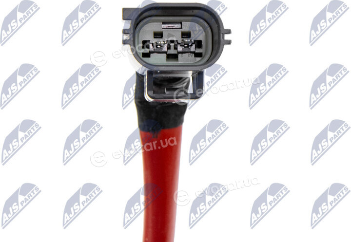 NTY BWP-FR-000