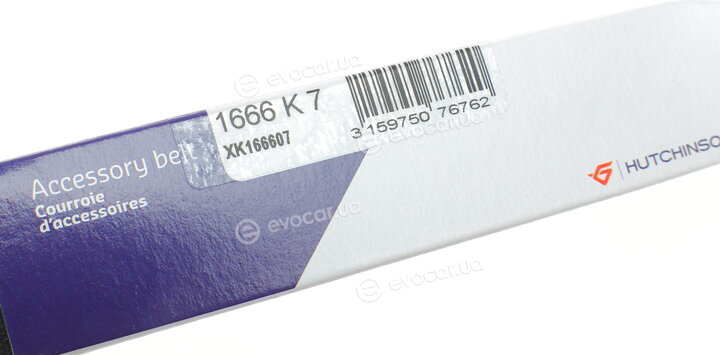 Hutchinson 1666 K 7