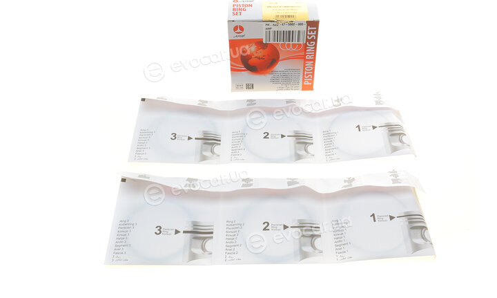 AMP PR-RAV-47-5902-000-SET