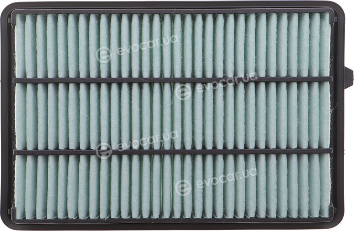 Mann C 18037