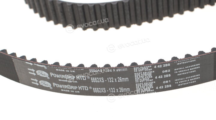 Gates K015552XS