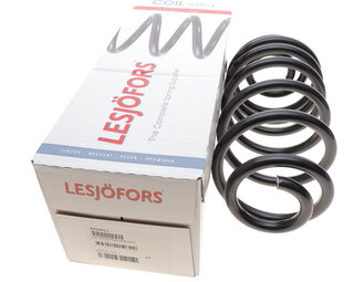 Lesjofors 4256911
