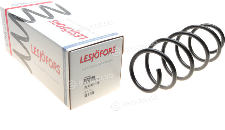 Lesjofors 4056945