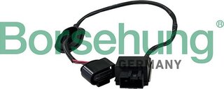 Borsehung B12991