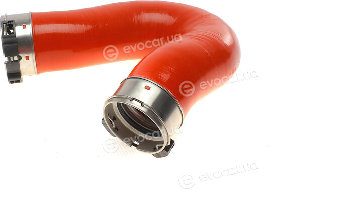 Solgy 114031