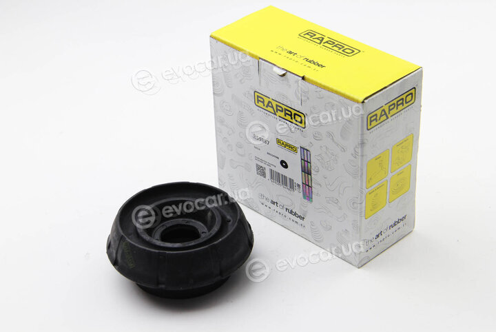 Rapro R59887