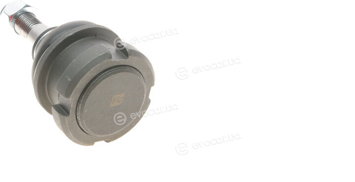 Solgy 203104