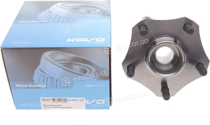 Kavo WBH-8505