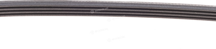 Continental 4PK830