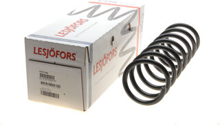 Lesjofors 4227568