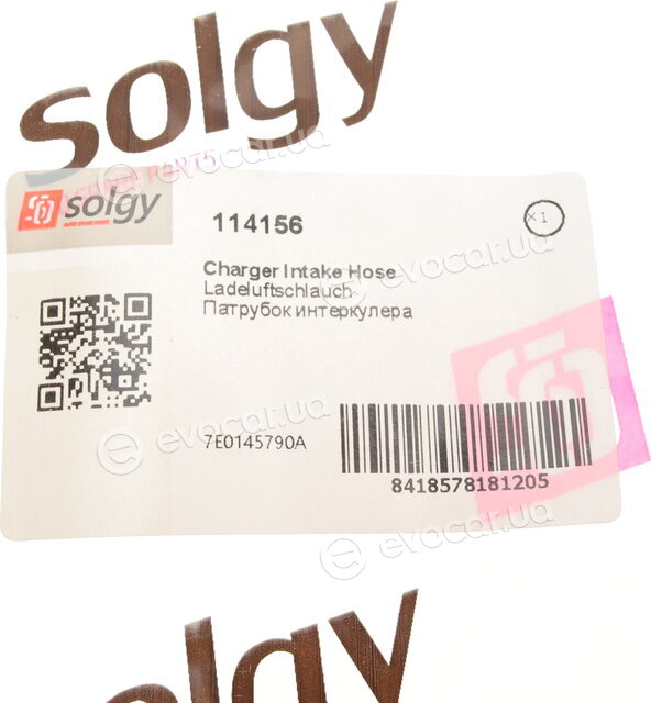 Solgy 114156