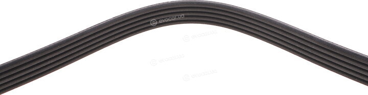 Dayco 5PK1155