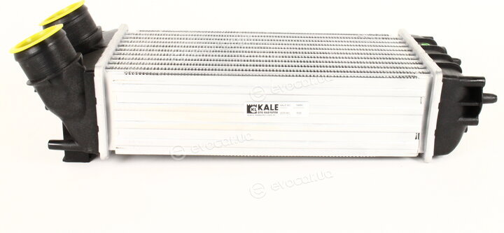 Kale 344870