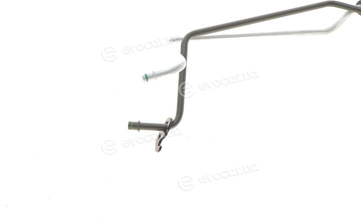 AIC 54985