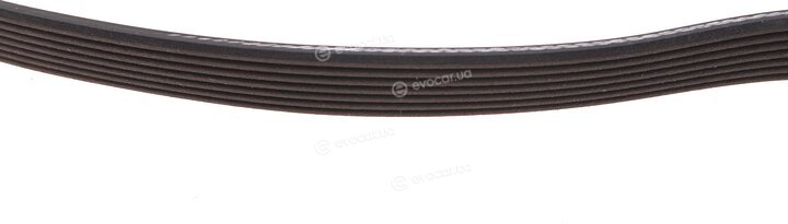 Dayco 7PK1338
