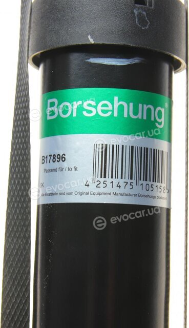 Borsehung B17896