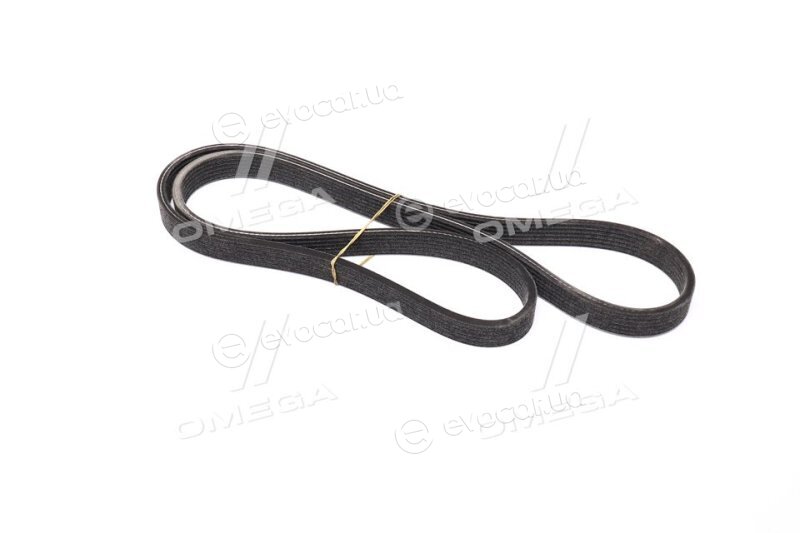 Dayco 6DPK1352