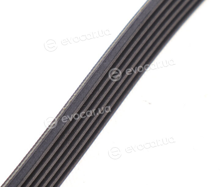 Continental 6PK1034 EXTRA