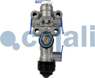 Cojali 2314303