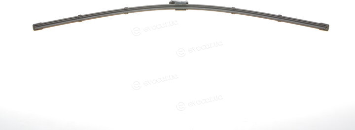 SWF 119445