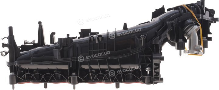 Solgy 114266