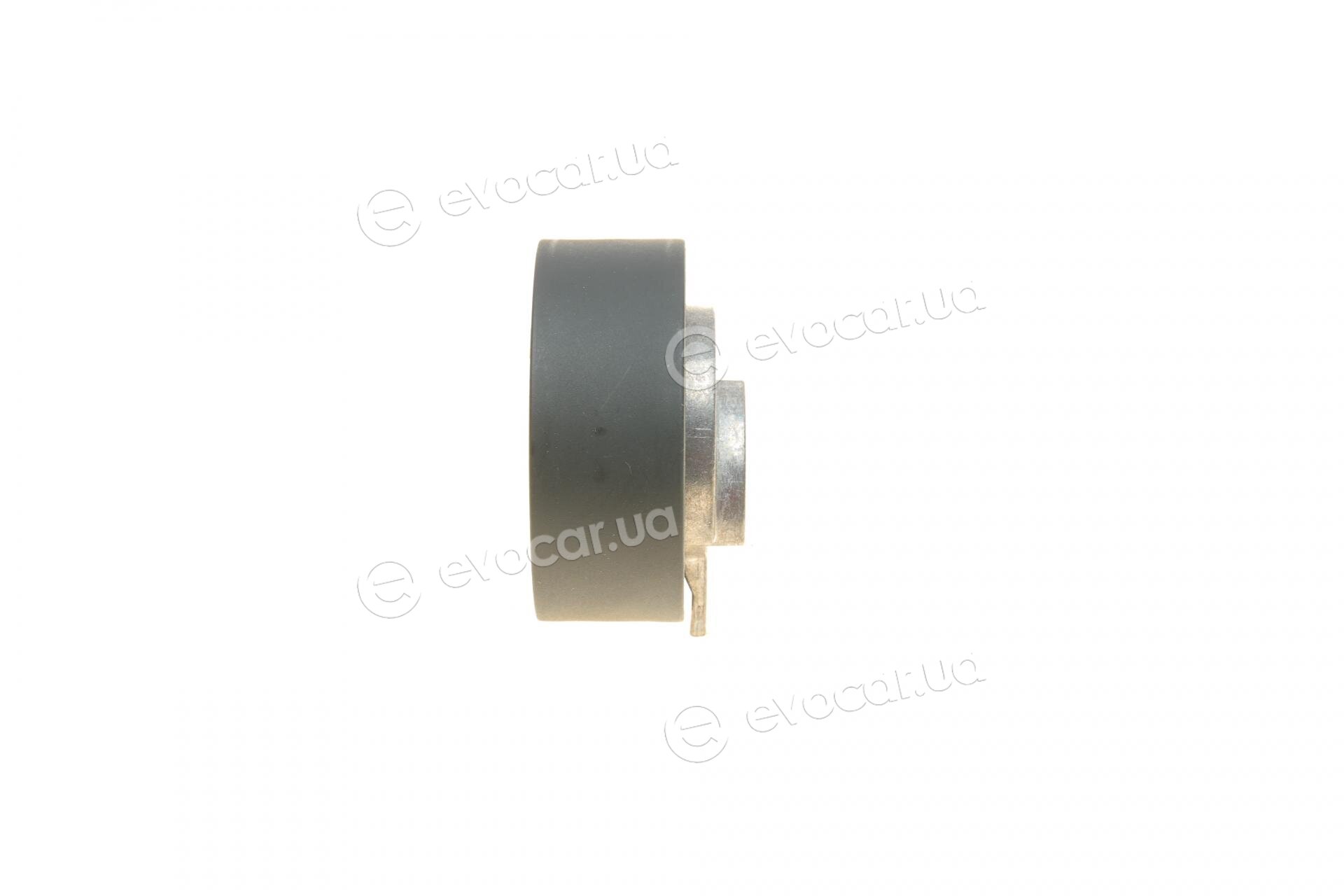 Dayco KTBWP4890