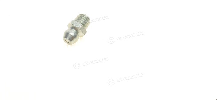 Blue Print ADG03904