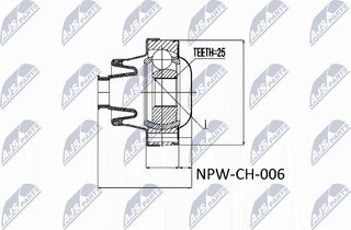 NTY NPW-CH-006